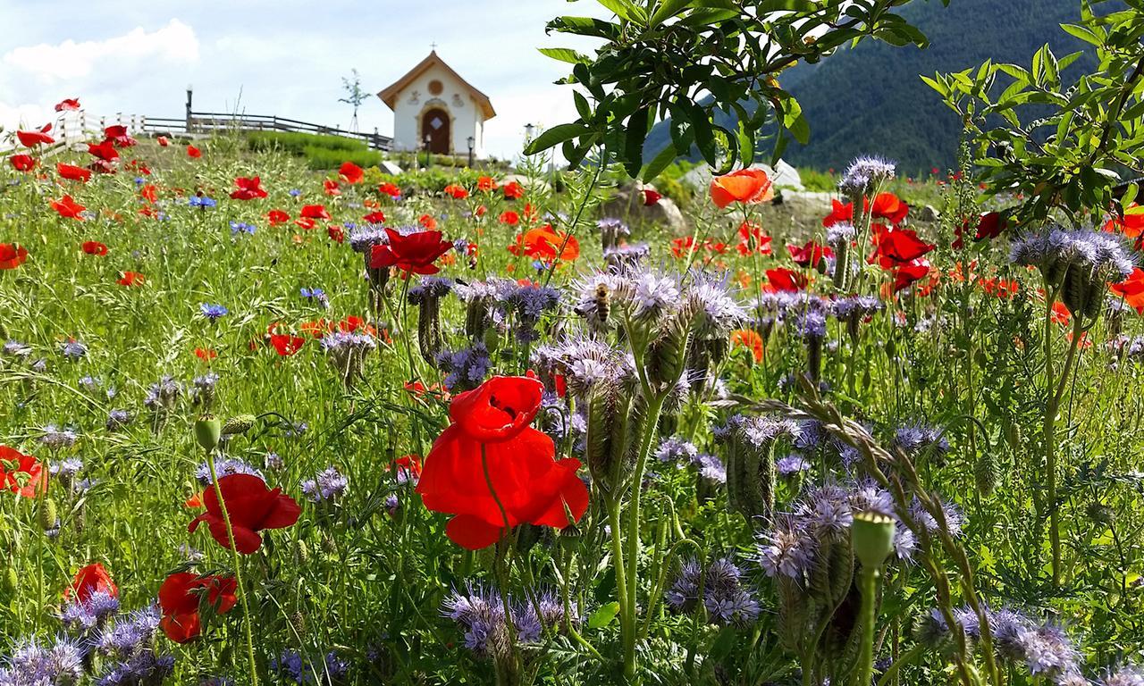 Forster'S Naturresort Neustift im Stubaital Exterior foto